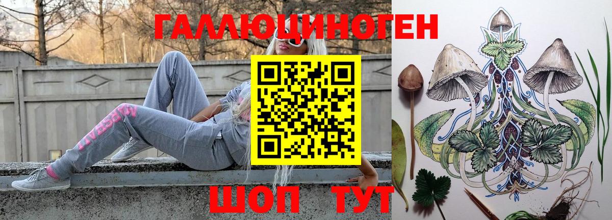 Псилоцибиновые грибы Cubensis Вольск